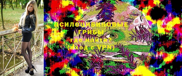 ПСИЛОЦИБИНОВЫЕ ГРИБЫ Алексеевка