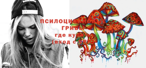 ПСИЛОЦИБИНОВЫЕ ГРИБЫ Алексеевка