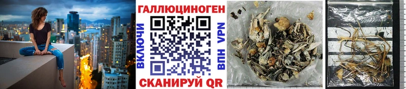 Псилоцибиновые грибы мицелий Ахтырский