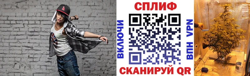 Конопля гибрид  продажа наркотиков  Ахтырский 